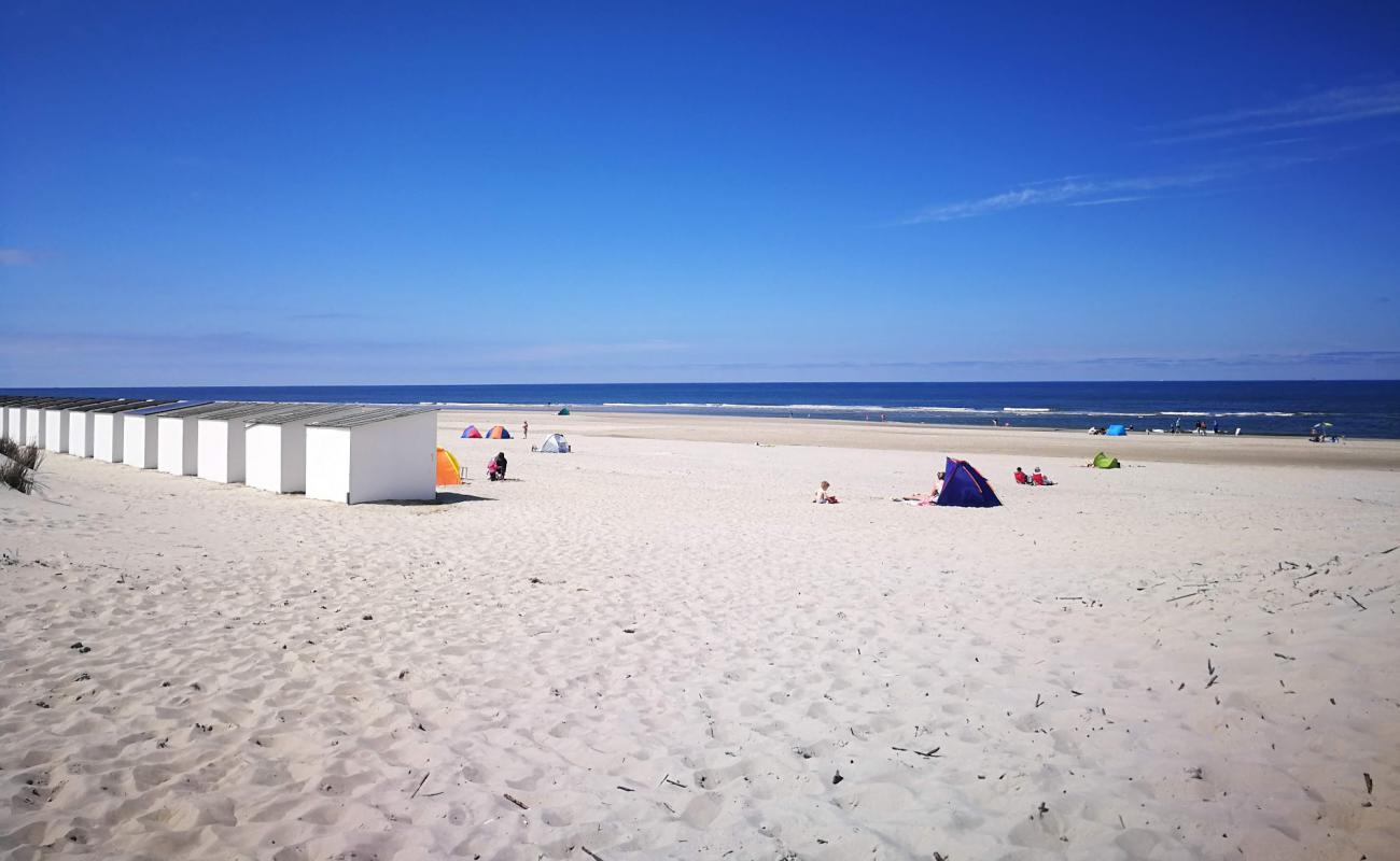 Texel Duinen'in fotoğrafı açık bej kum yüzey ile