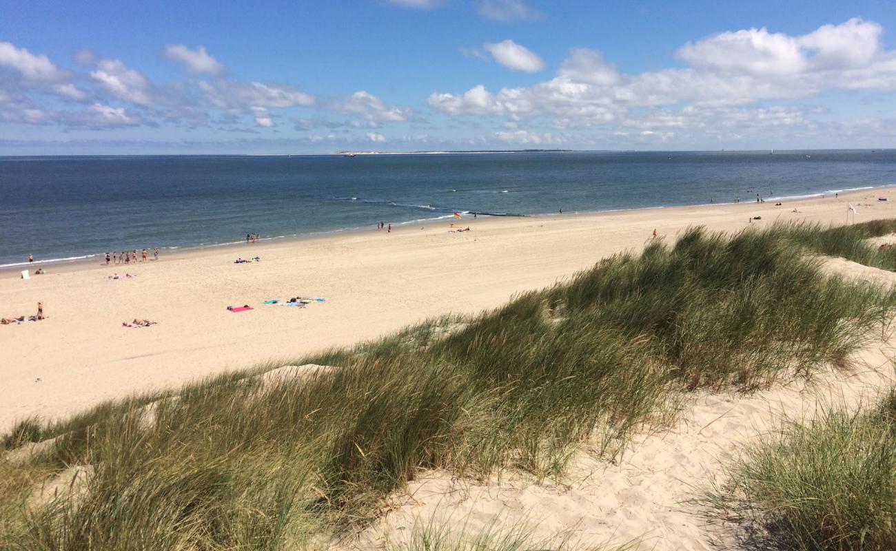 Vlieland beach'in fotoğrafı açık bej kum yüzey ile