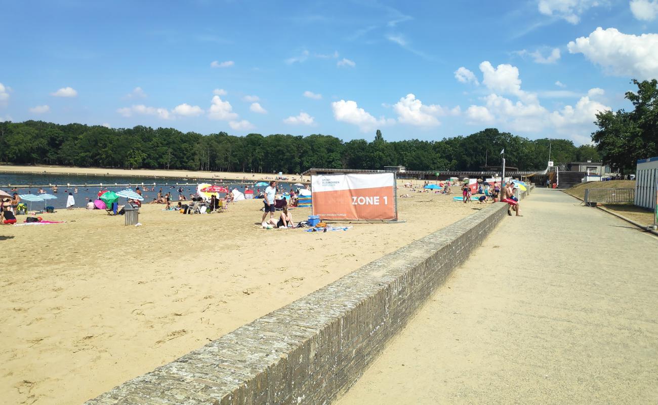 Hofstade strand'in fotoğrafı parlak kum yüzey ile