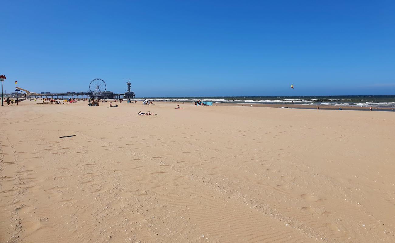 Scheveningen Nudist Beach'in fotoğrafı açık bej kum yüzey ile