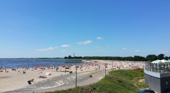 Lemmer strand