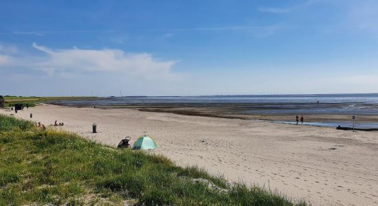 Harlingen Plajı