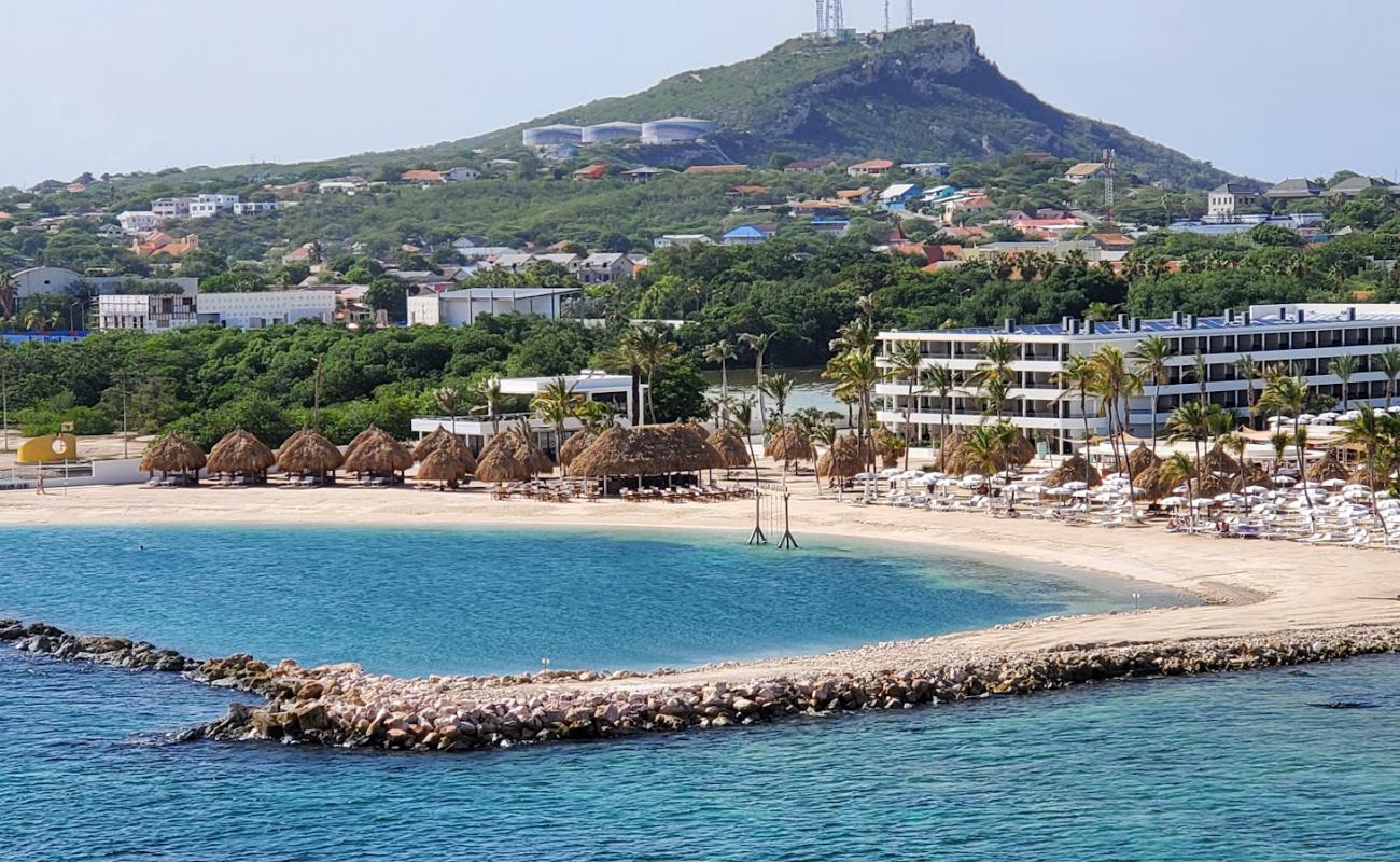 Mangrove beach'in fotoğrafı parlak ince kum yüzey ile