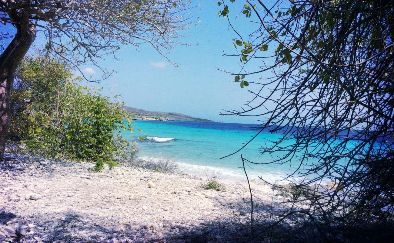 Playa Largu'in fotoğrafı bej kum ve çakıl yüzey ile