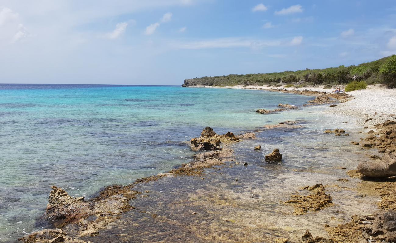 Playa San Juan'in fotoğrafı kayalık arazi yüzey ile
