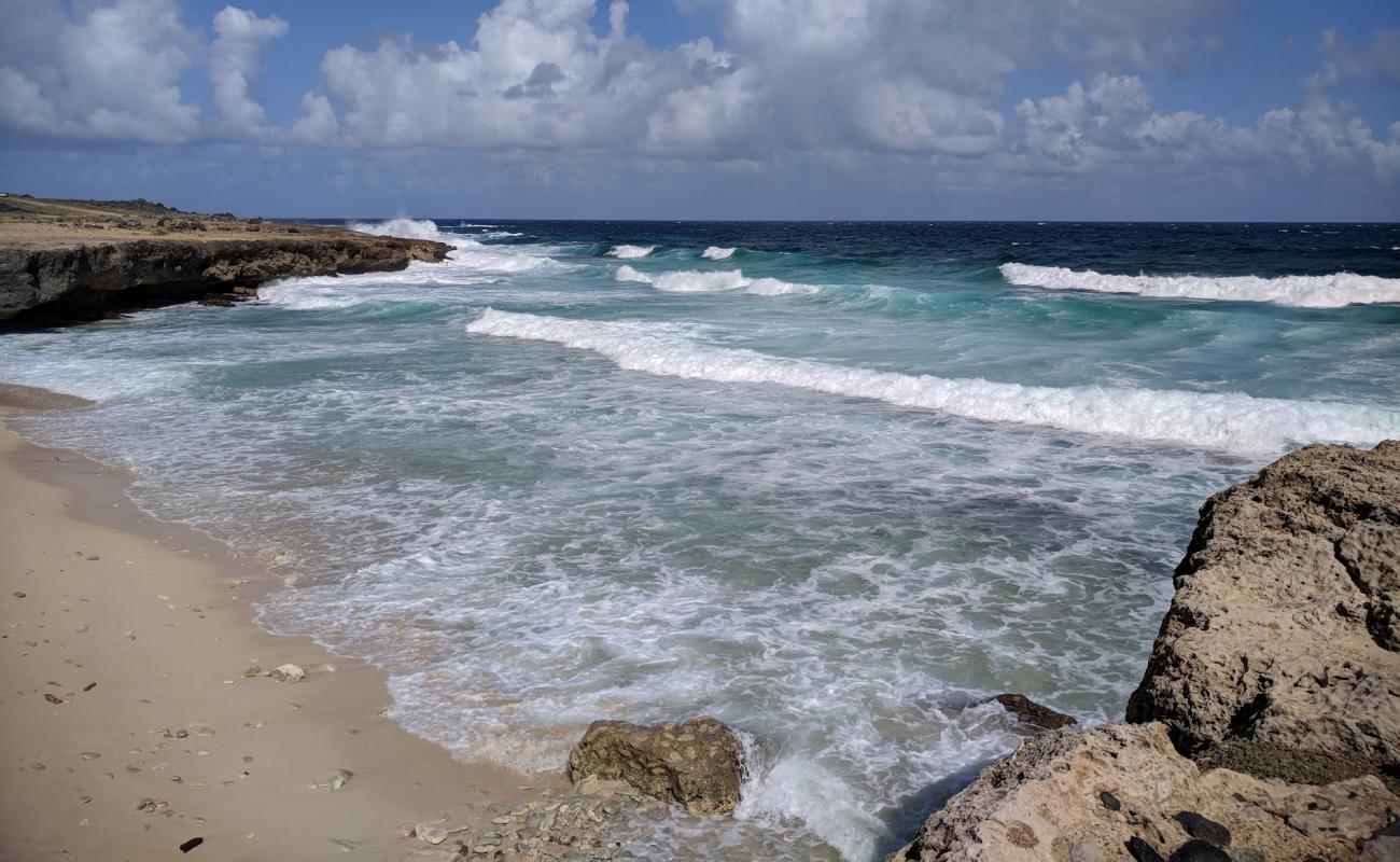 Wariruri beach'in fotoğrafı bej kum ve çakıl yüzey ile