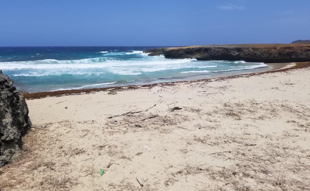 Daimari beach'in fotoğrafı parlak kum yüzey ile