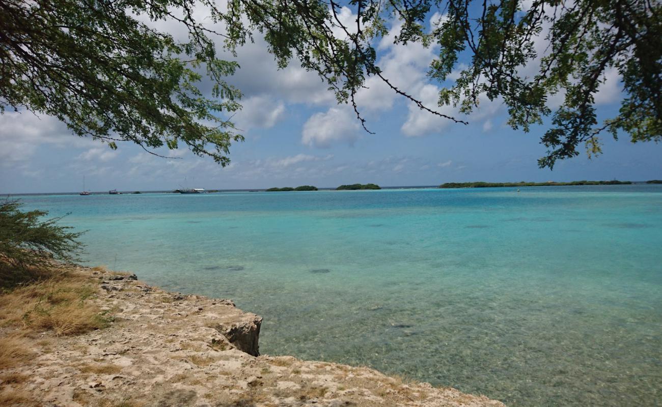 Battata beach'in fotoğrafı gri kum ve çakıllar yüzey ile