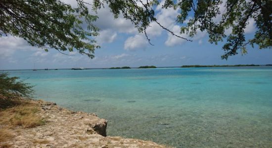 Battata beach
