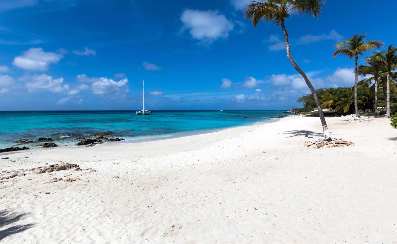 Boca Catalina Beach'in fotoğrafı parlak ince kum yüzey ile