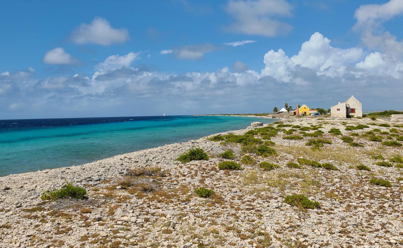 Vista Blue'in fotoğrafı bej çakıl yüzey ile