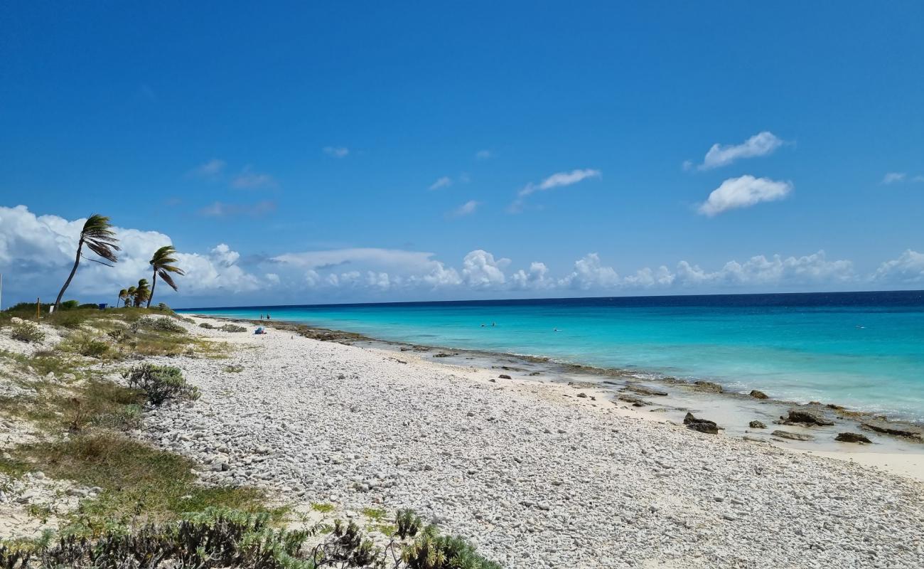 Pink Beach Bonaire'in fotoğrafı beyaz çakıl taş yüzey ile