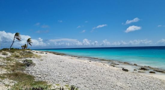 Pink Beach Bonaire