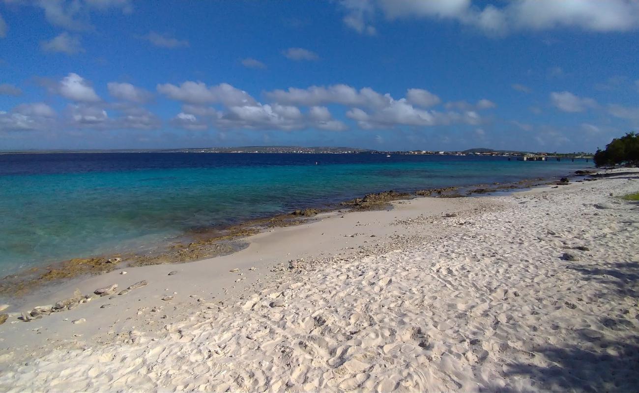 Palu di Mangel Beach'in fotoğrafı bej kum ve kayalar yüzey ile