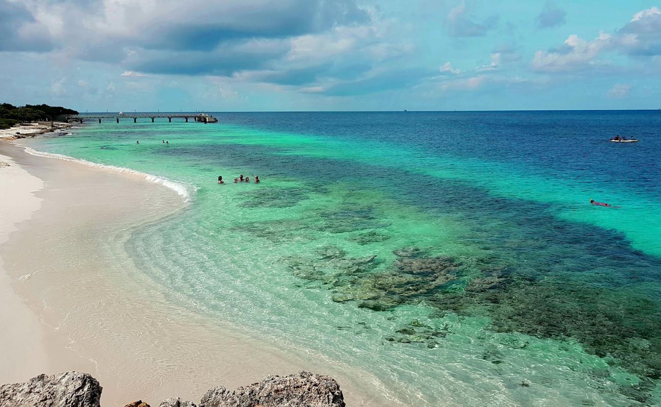 Te Amo Beach'in fotoğrafı açık bej kum yüzey ile