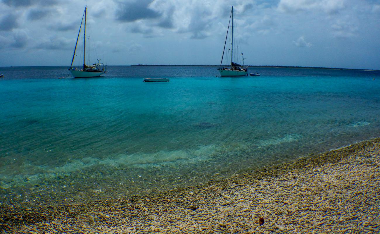 Vakantiehuis Pelican Reef'in fotoğrafı küçük bej çakıl yüzey ile