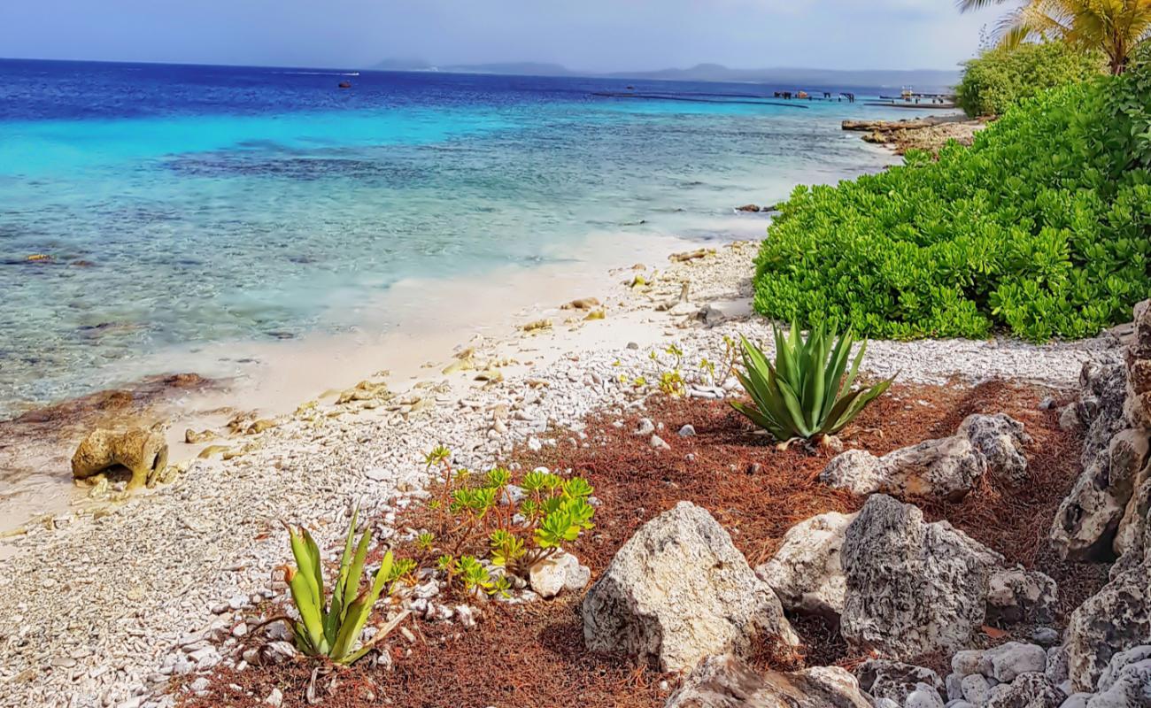 Hato Beach'in fotoğrafı kayalık arazi yüzey ile