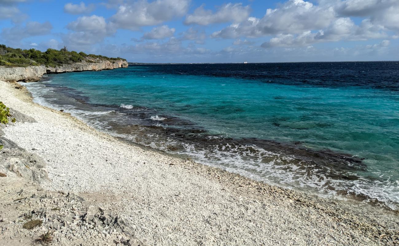 Ol' Blue Beach'in fotoğrafı beyaz çakıl taş yüzey ile
