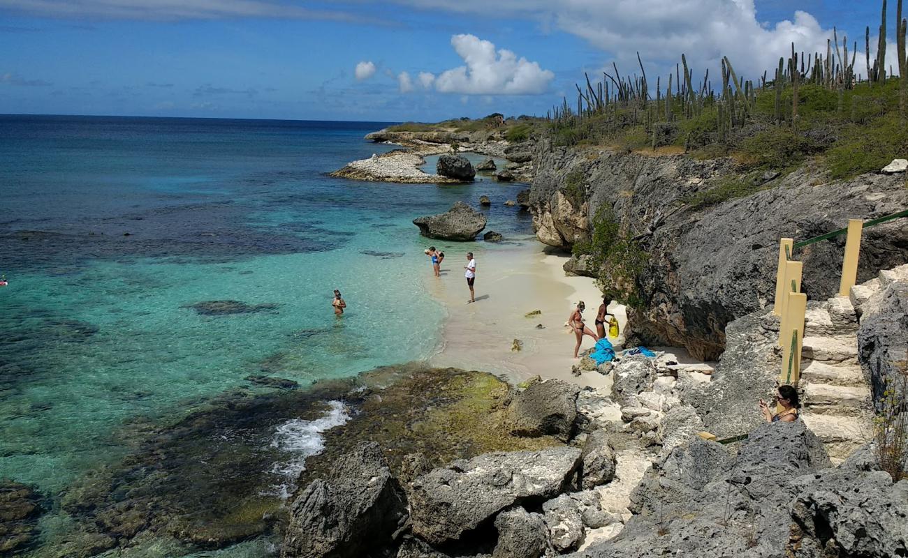 Wayaka Beach'in fotoğrafı bej kum ve kayalar yüzey ile