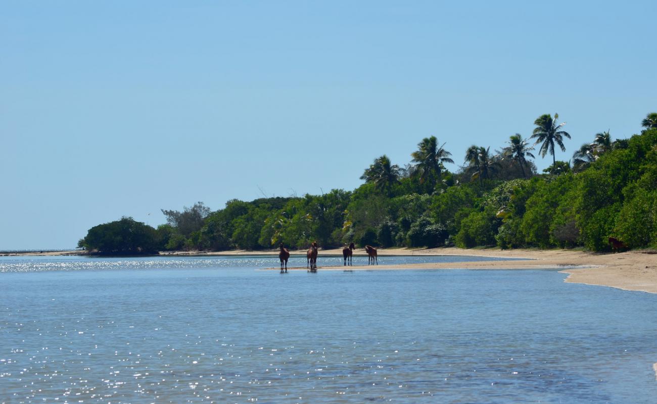 Poingam Beach'in fotoğrafı açık bej kum yüzey ile