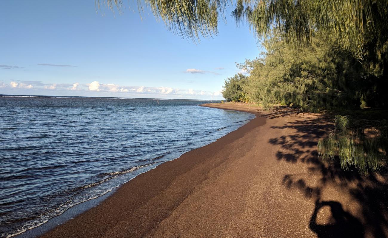 Chez Georgette Beach'in fotoğrafı kahverengi kum yüzey ile