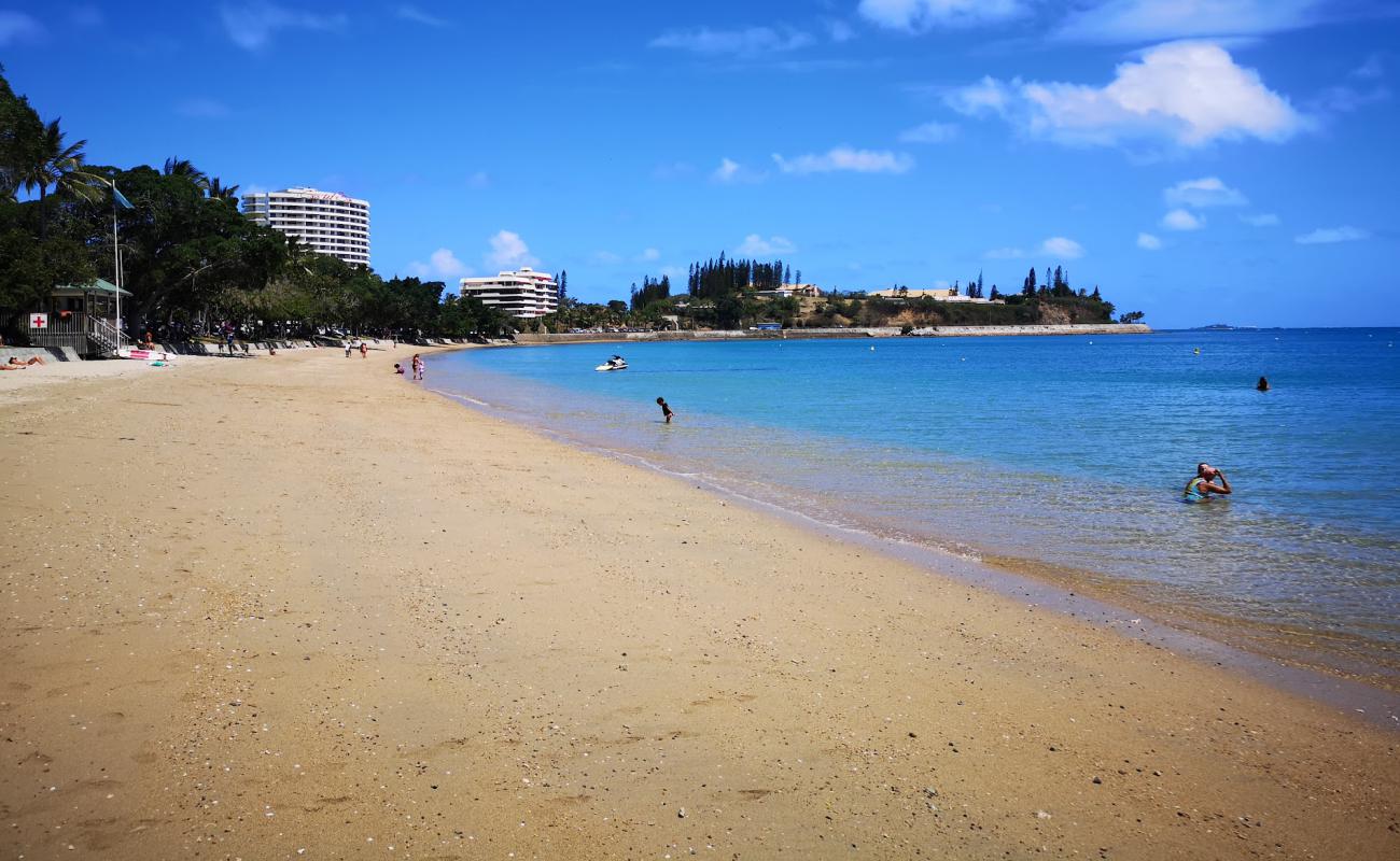 Plage de la Baie des Citrons'in fotoğrafı açık bej kum yüzey ile