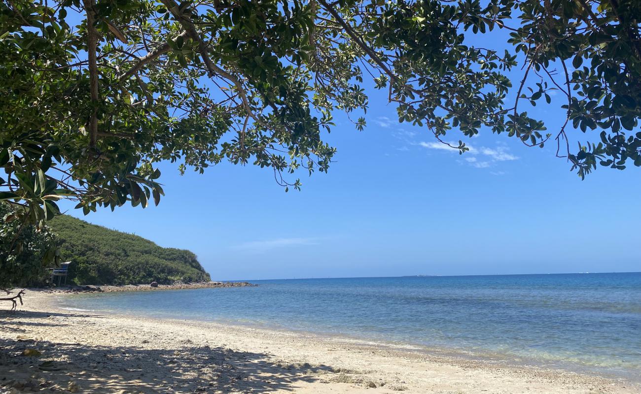 Noumea Beach'in fotoğrafı parlak kum yüzey ile