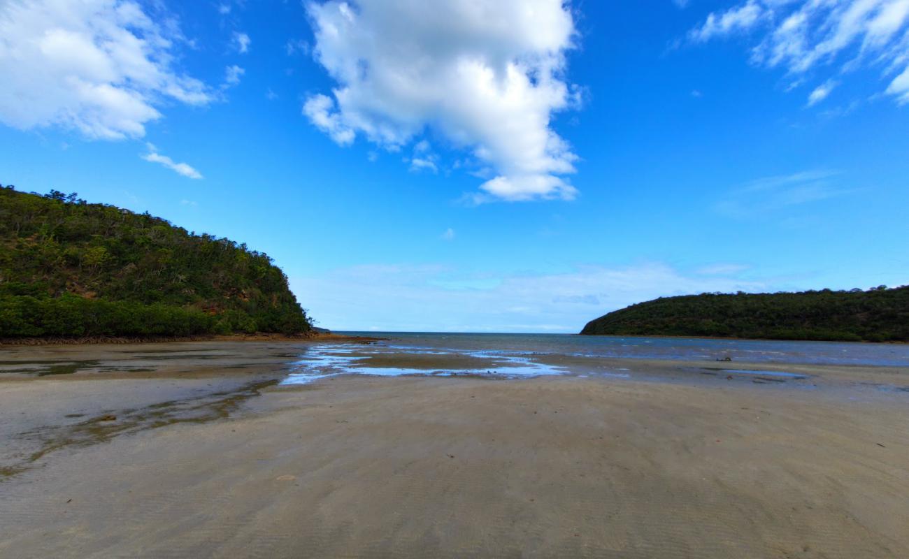 Plage de la baie des sapins'in fotoğrafı gri kum yüzey ile