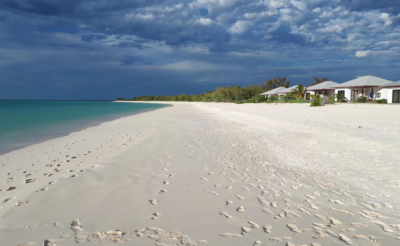 Ouvea Beach'in fotoğrafı beyaz ince kum yüzey ile