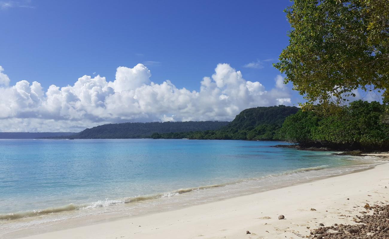 Island reef Beach'in fotoğrafı açık bej kum yüzey ile