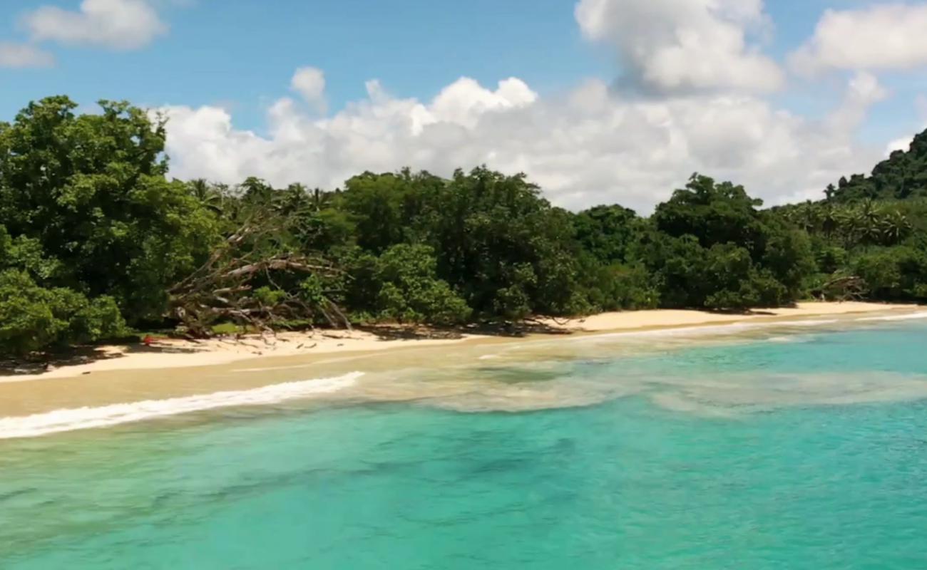 Golden Beach'in fotoğrafı i̇nce bej kum yüzey ile