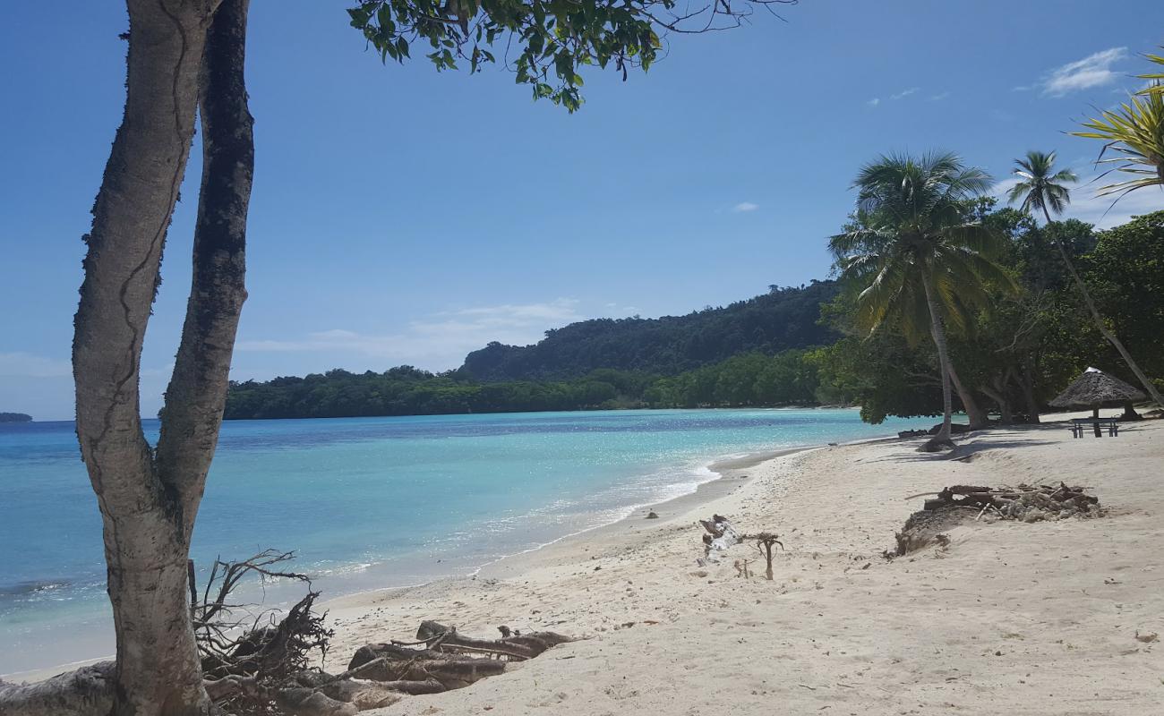 Lonnoc Beach'in fotoğrafı parlak ince kum yüzey ile