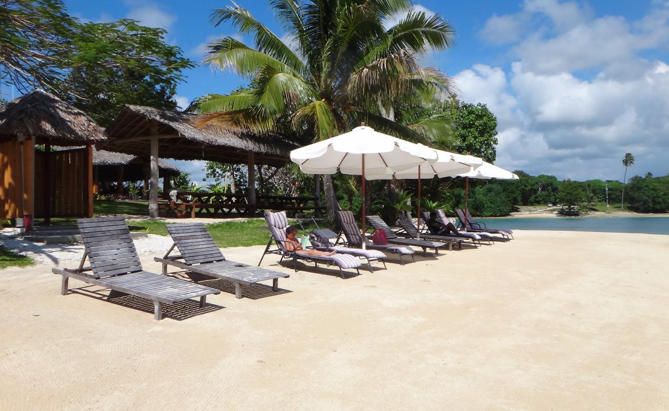 Oyster Island Beach'in fotoğrafı açık bej kum yüzey ile