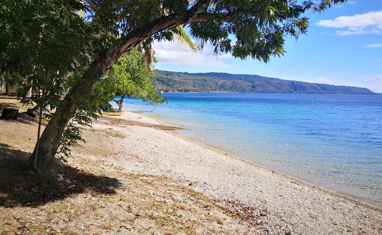 Havannah Beach'in fotoğrafı hafif ince çakıl taş yüzey ile