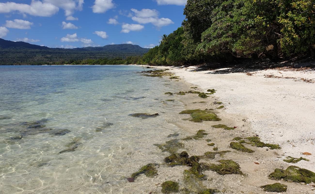 Saint Lawrence Beach'in fotoğrafı bej kum ve kayalar yüzey ile
