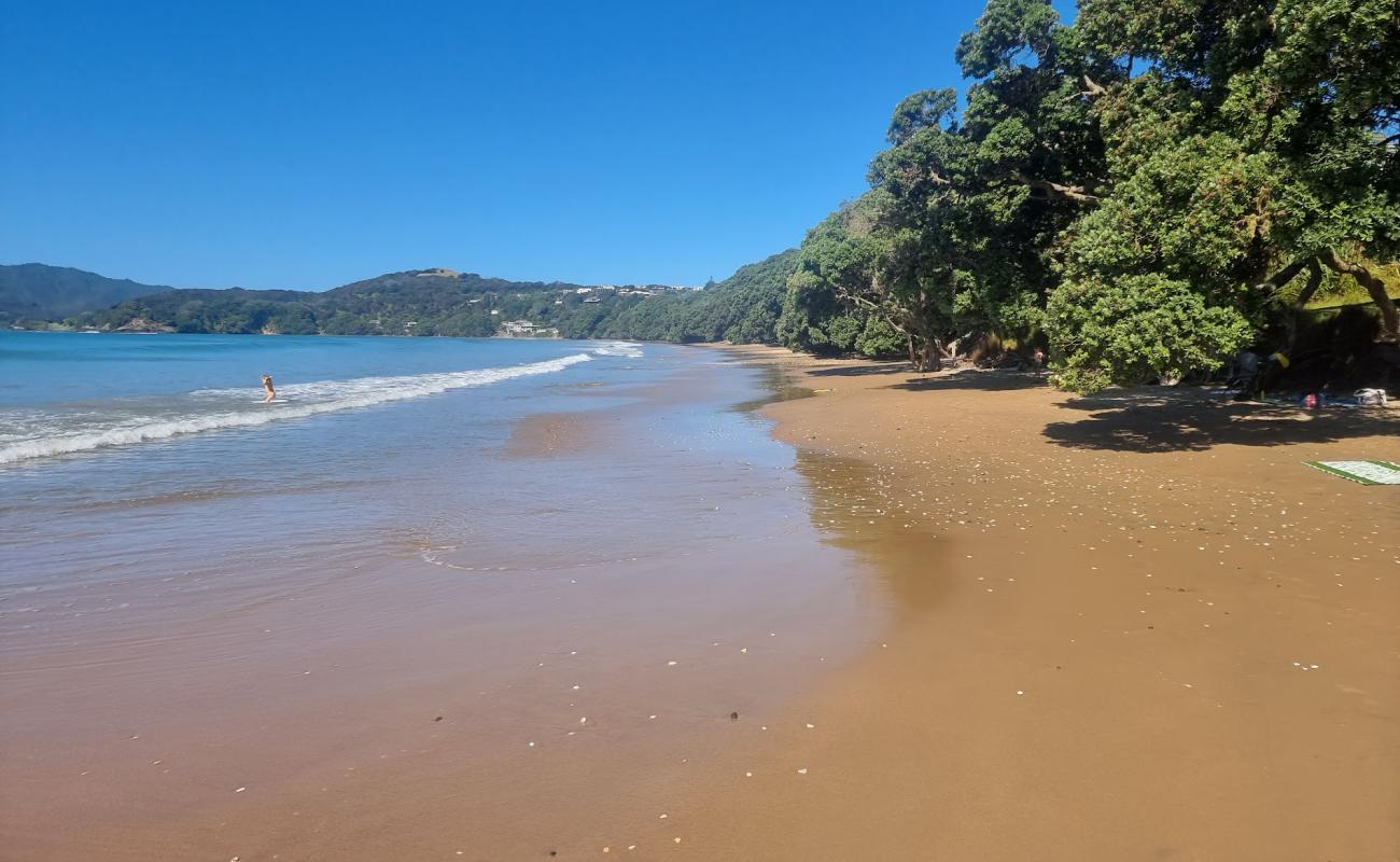 Coopers Beach'in fotoğrafı kahverengi kum yüzey ile