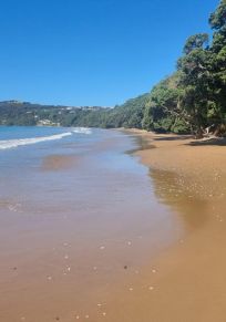 Coopers Beach