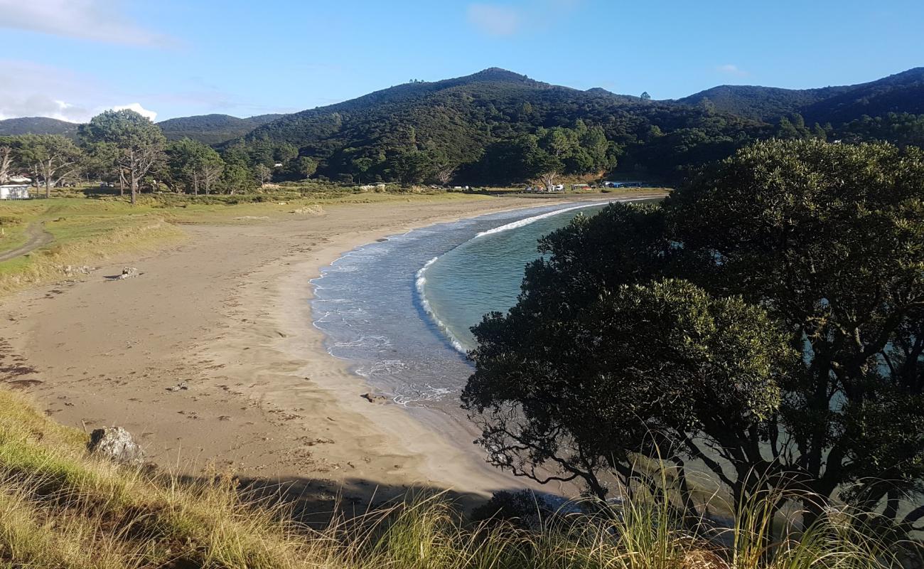 Waimahana Beach'in fotoğrafı açık bej kum yüzey ile