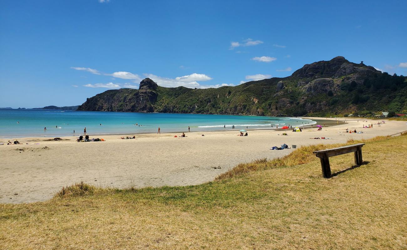 Taupo Bay Beach'in fotoğrafı parlak kum yüzey ile