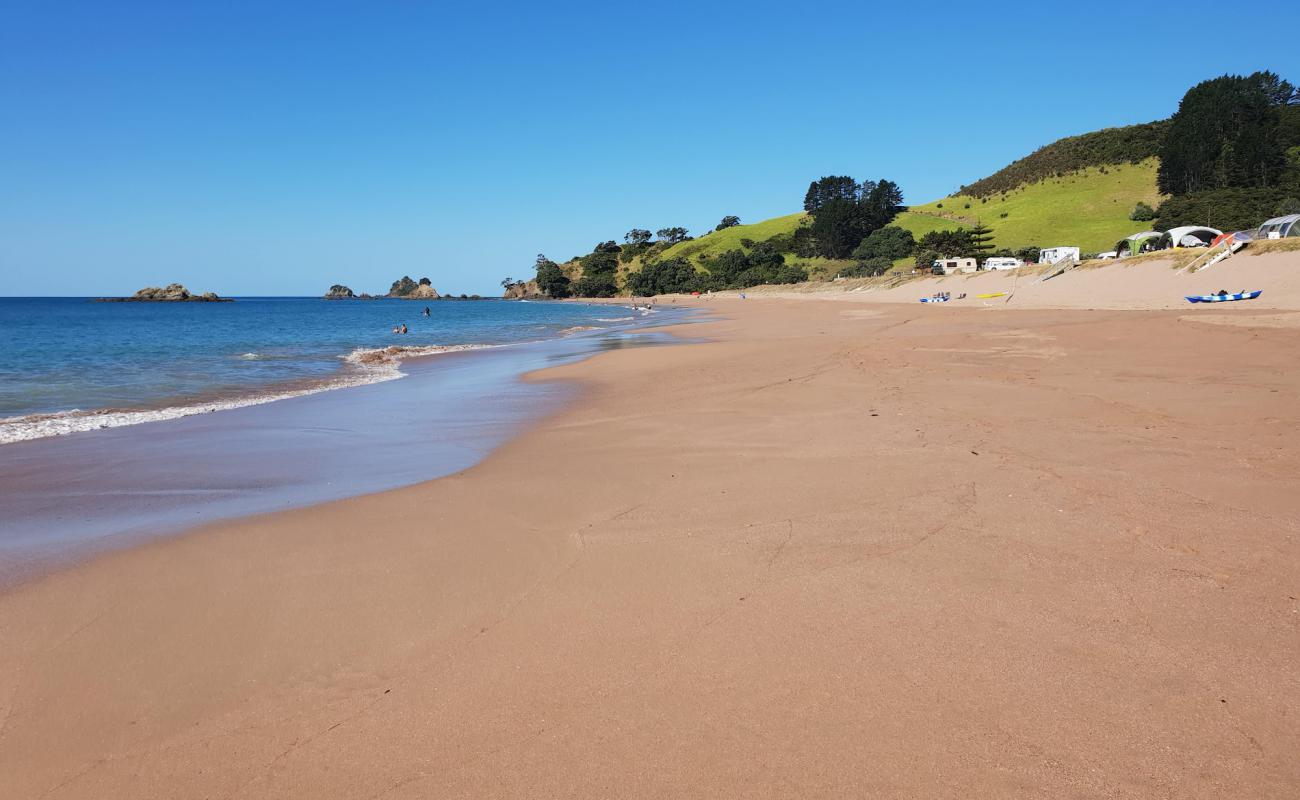 Tauranga Bay Beach'in fotoğrafı açık bej kum yüzey ile