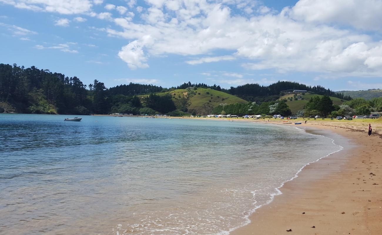 Mahinepua Bay Beach'in fotoğrafı küçük kahverengi çakıllar yüzey ile