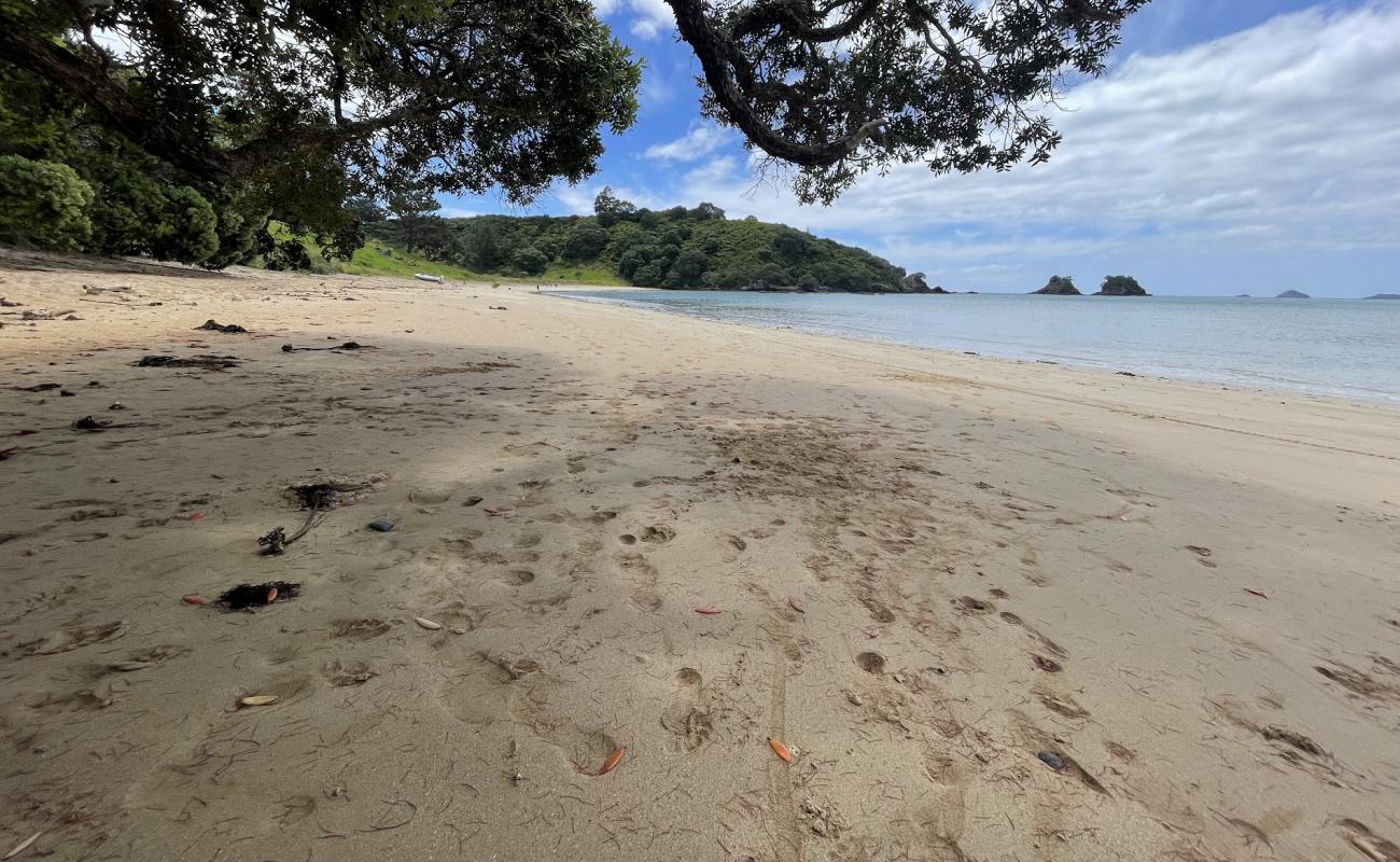 Piapia Bay Beach'in fotoğrafı açık bej kum yüzey ile