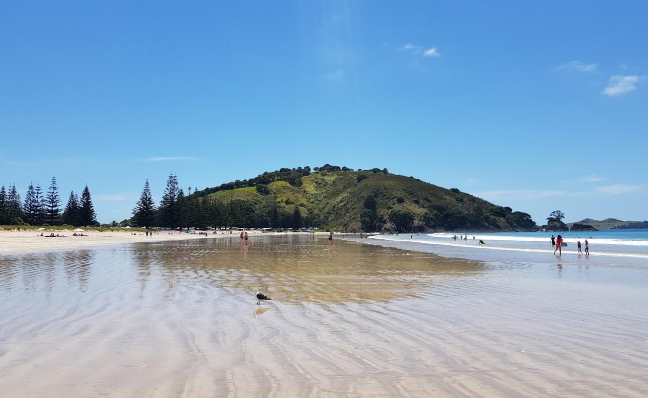 Matauri Bay Beach'in fotoğrafı parlak kum yüzey ile