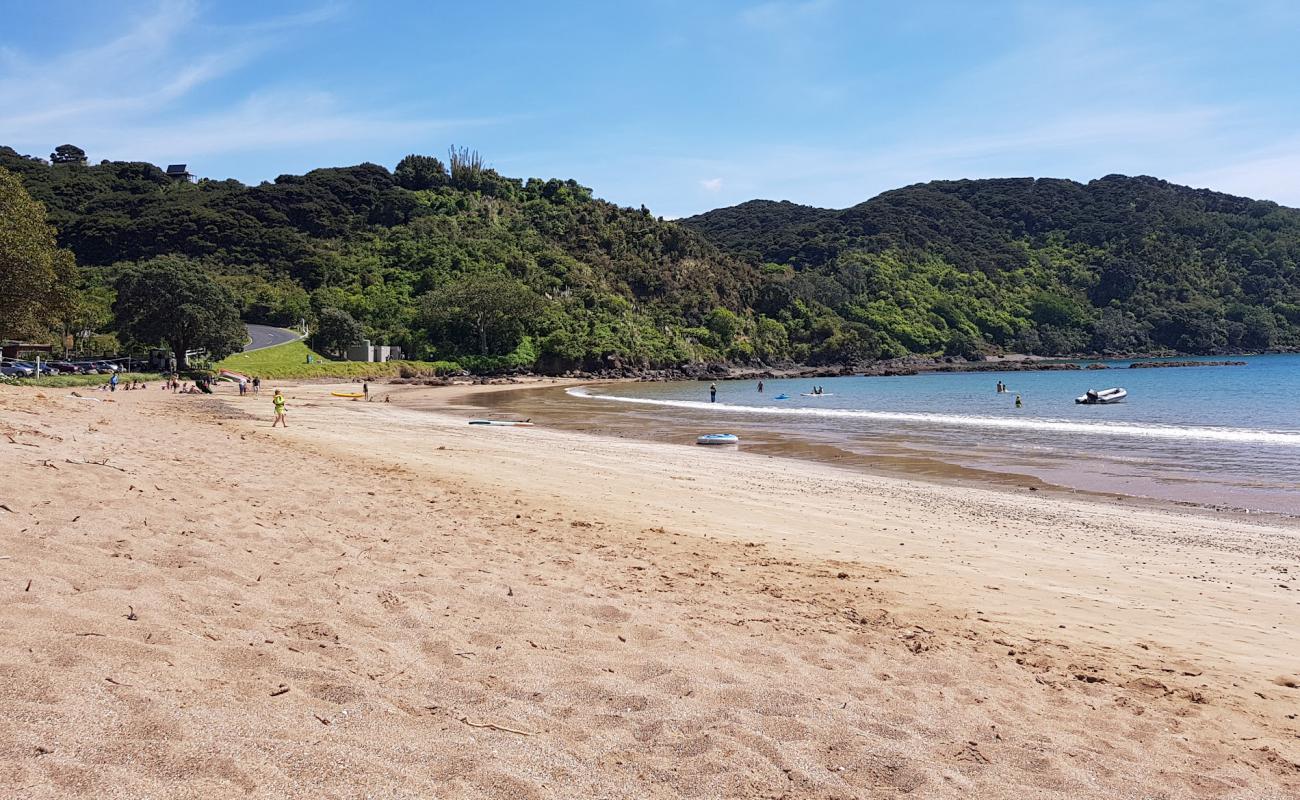 Oneroa Bay Beach'in fotoğrafı parlak kum yüzey ile