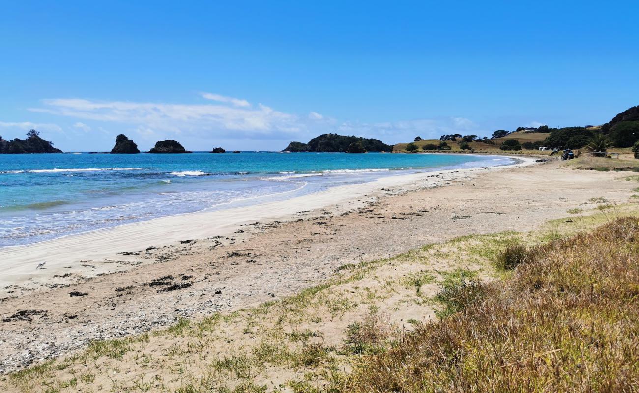 Tuparehuia Beach'in fotoğrafı bej çakıl yüzey ile