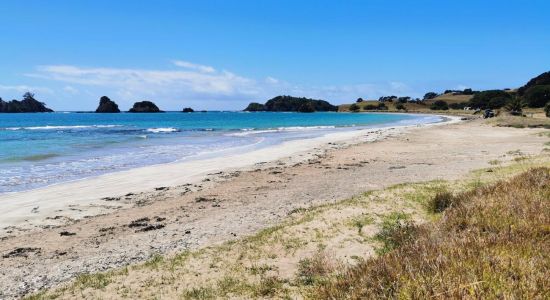 Tuparehuia Beach