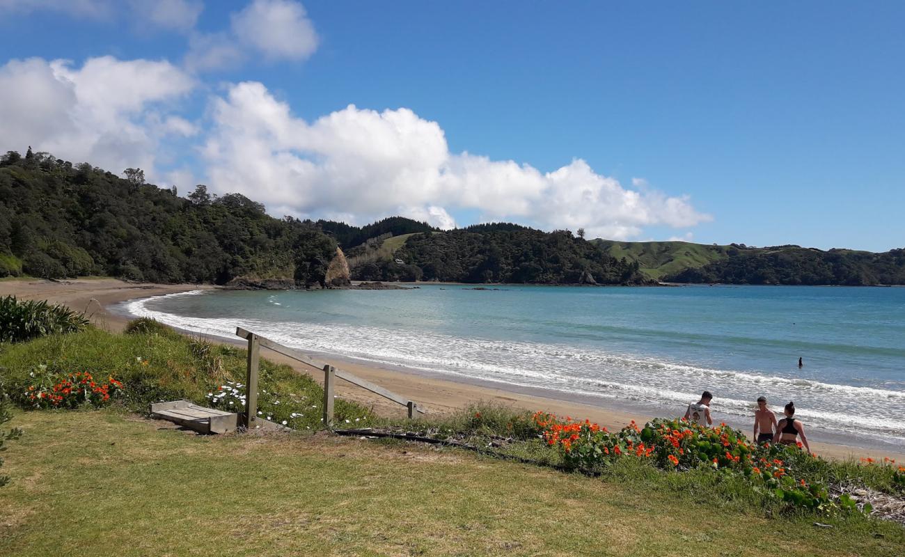 Helena Bay Beach'in fotoğrafı parlak kum yüzey ile