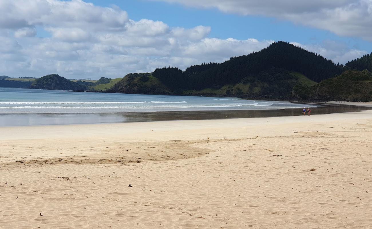 Whananaki South Beach'in fotoğrafı açık bej kum yüzey ile