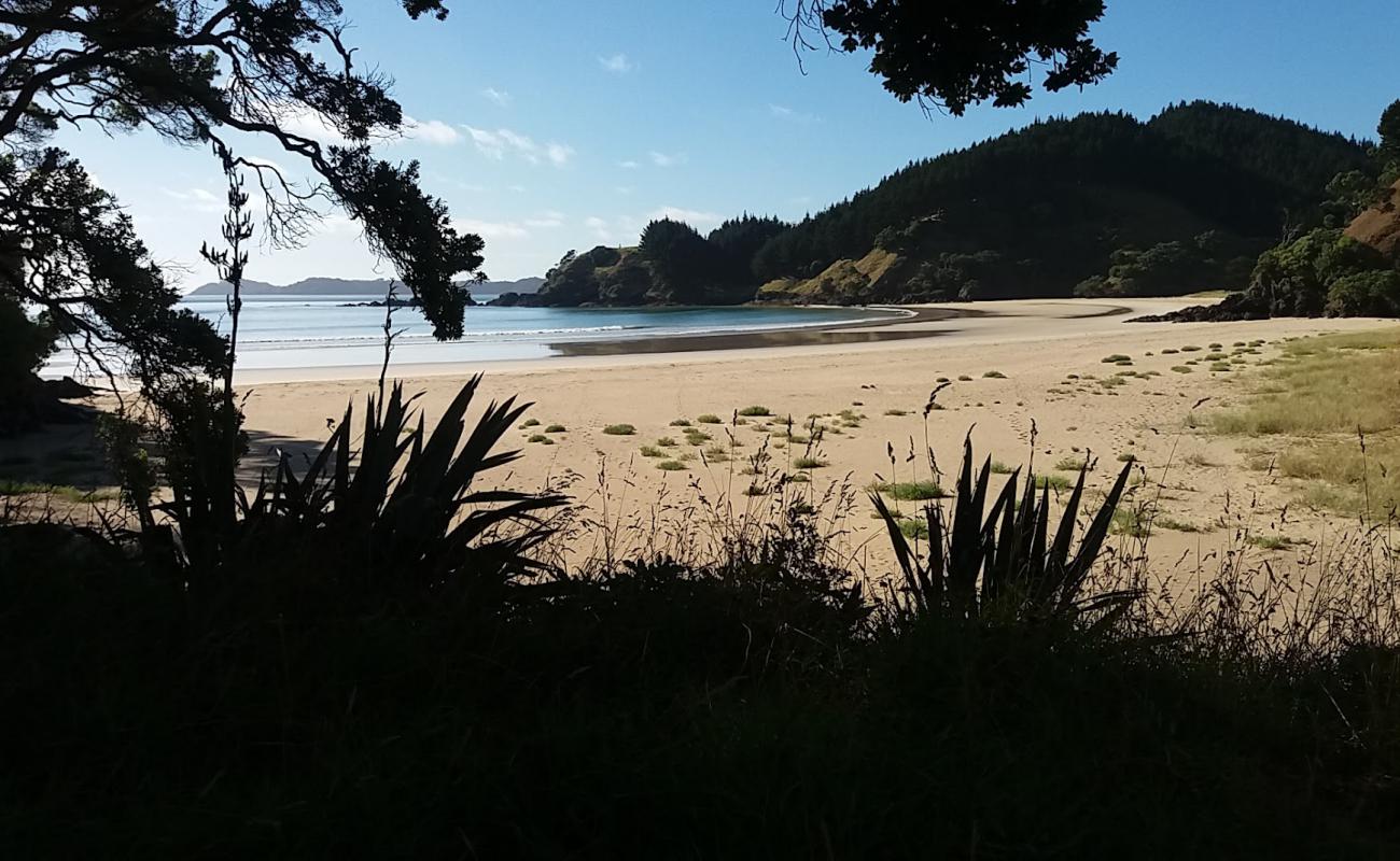 Grahams Bay Beach'in fotoğrafı parlak kum yüzey ile