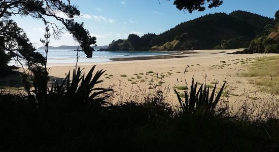 Grahams Bay Beach